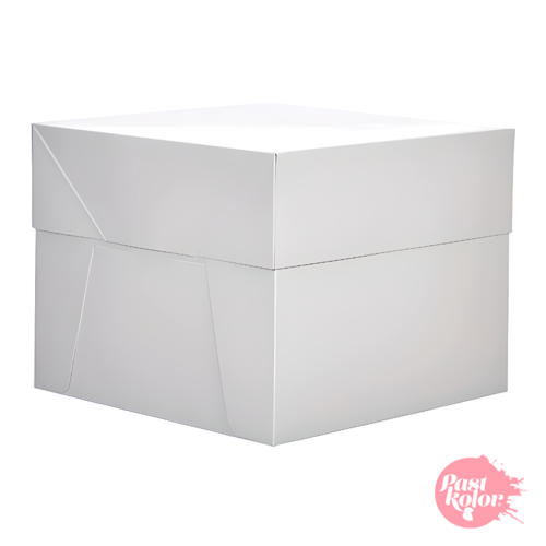 CAJA PARA TARTA RECTANGULAR BLANCA - 30 x 23 CM