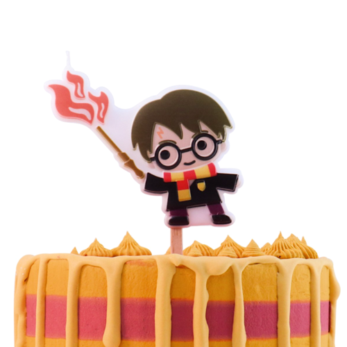 VELA CUMPLEAÑOS PME - HARRY POTTER